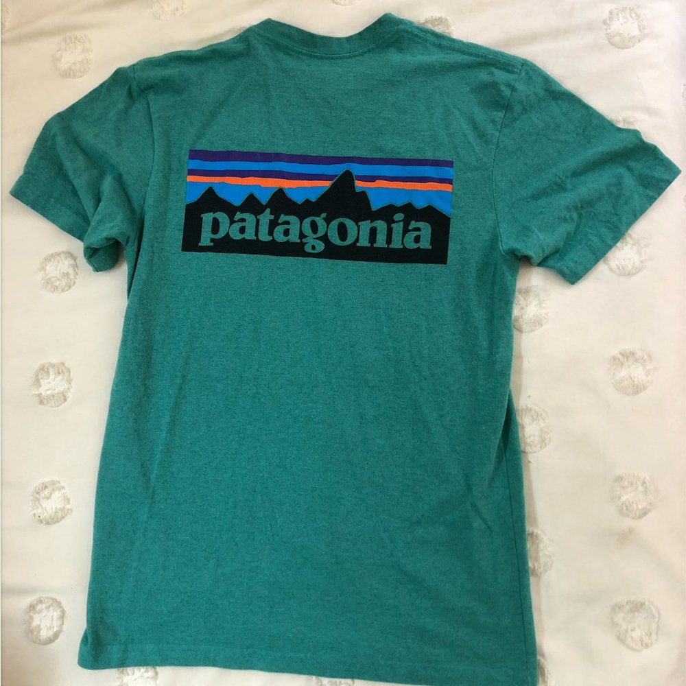 Patagonia Tee
